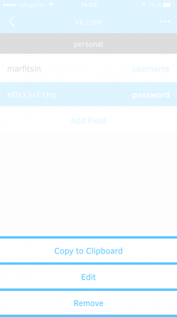 Padlock Free Password Manager: The interface
