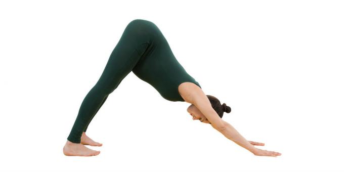Yoga for pregnant women: Dog muzzle down (Adho Mukha shvanasana)