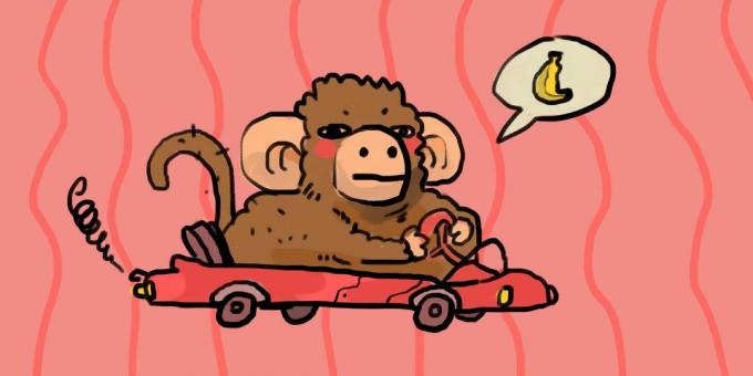 Monkey driving
