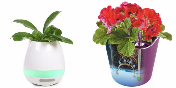 Smart flower pot