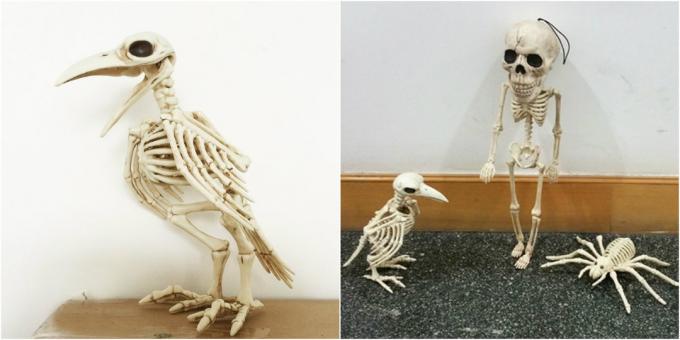 skeleton crow