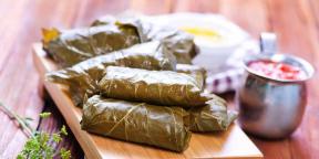 9 recipes delicious dolma with different fillings
