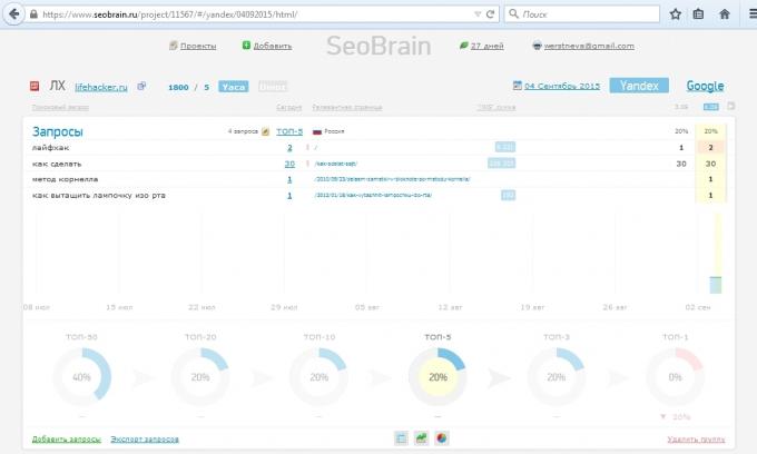 Service Overview SeoBrain, project report